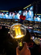 BTS BT21 Inspired Lightstick Topper V4